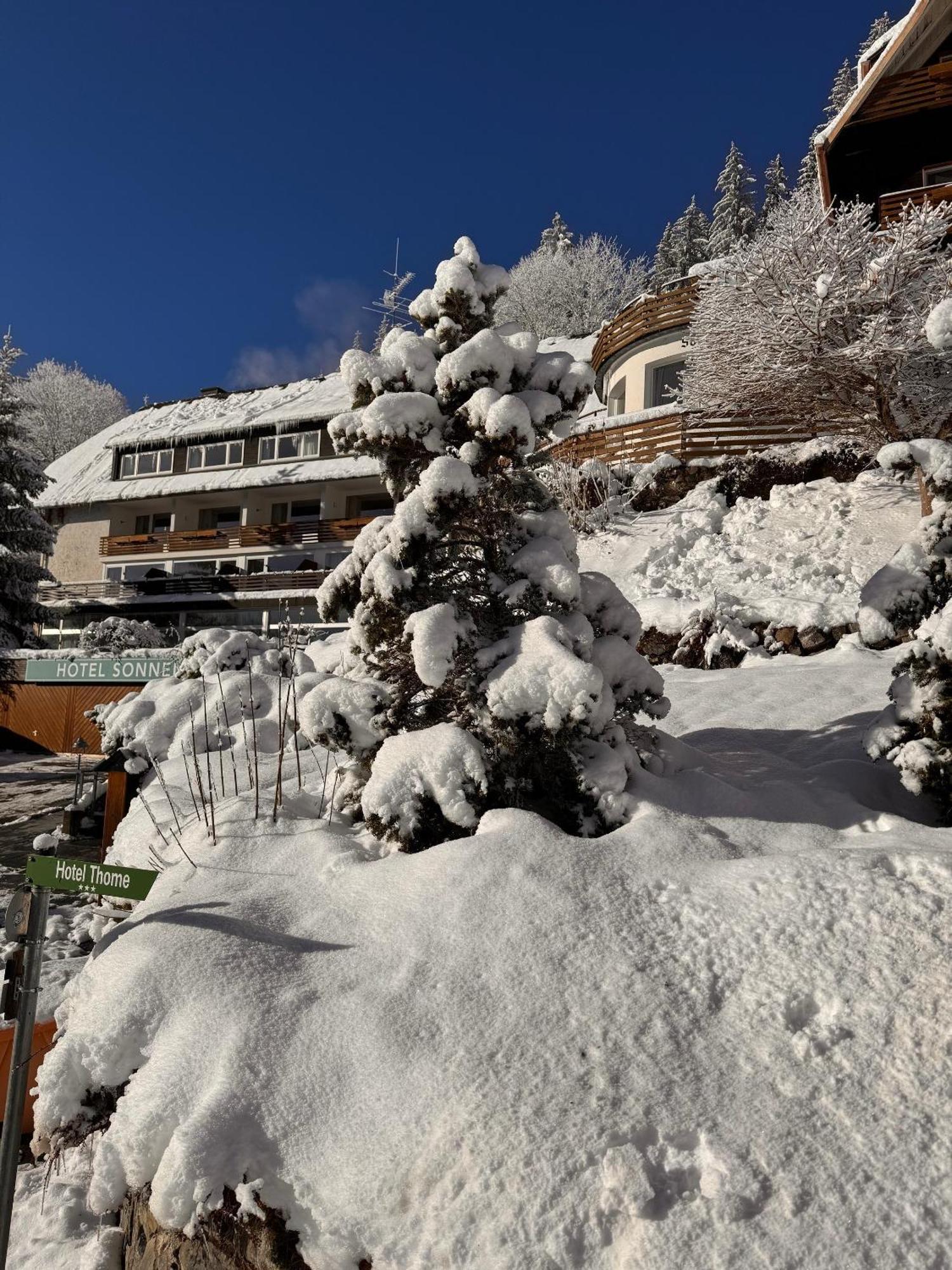 Hotel Sonnenberg Garni Hinterzarten Luaran gambar