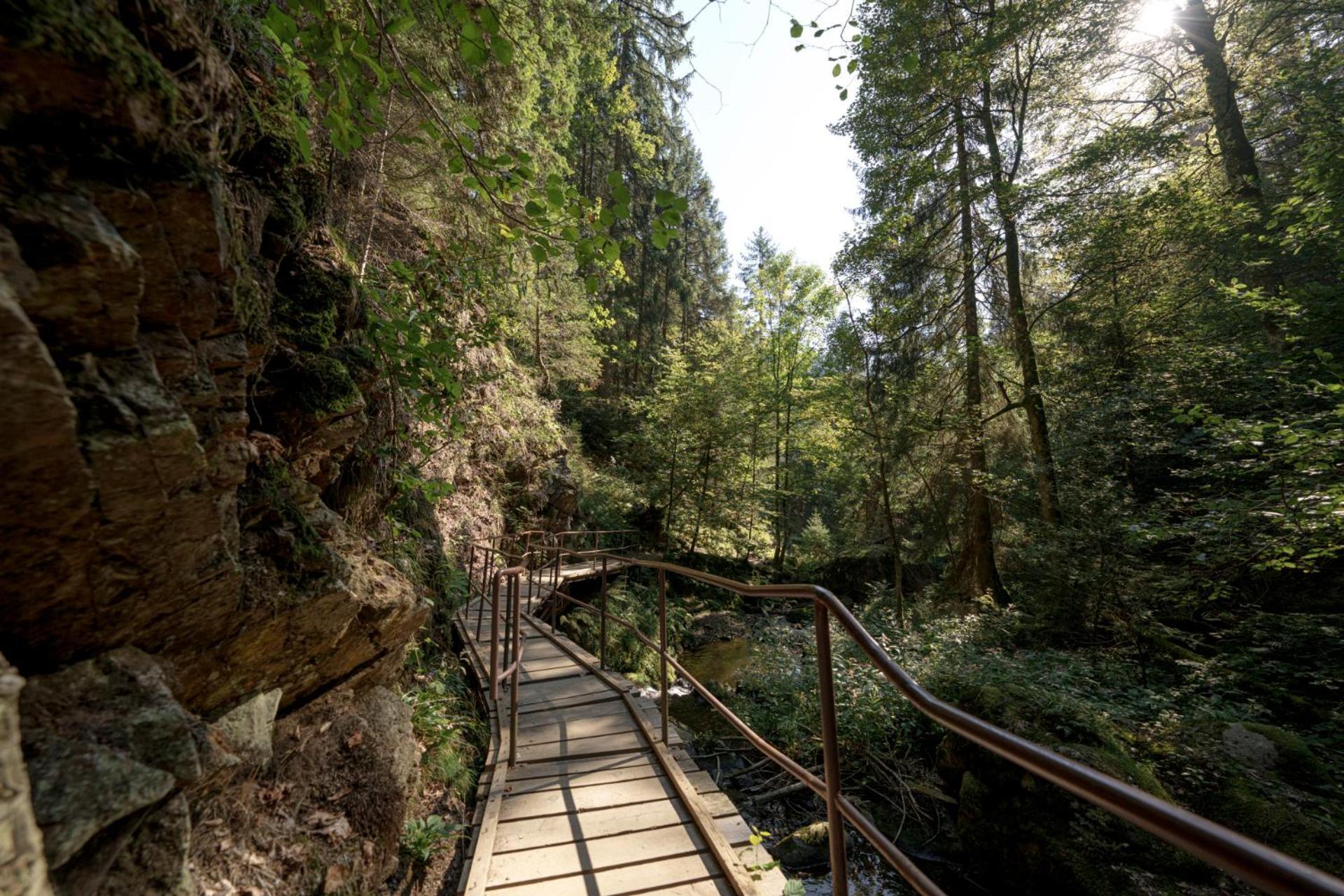 Hotel Sonnenberg Garni Hinterzarten Luaran gambar